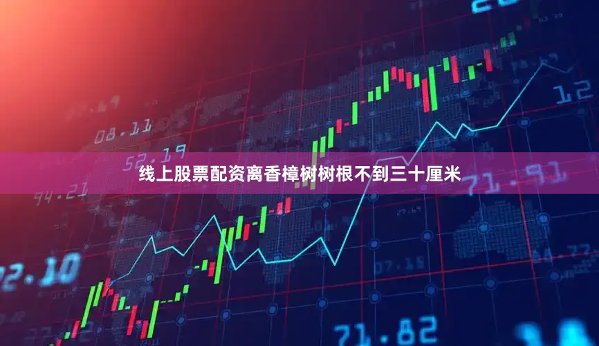 线上股票配资离香樟树树根不到三十厘米